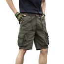 Legacy Shorts