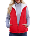 Dayne Gilet