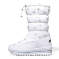 Sierra boot