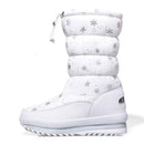 Sierra boot
