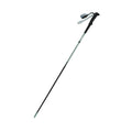 Cumbre Walking Stick