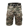 Flagen Shorts
