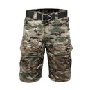 Flagen Shorts