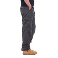Argus Pants