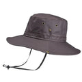 Sombrero Ivy