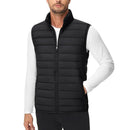 Gale Vest