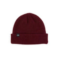 Magic Beanie