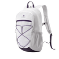 Lary 22L Backpack