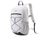 Lary 22L Backpack