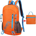 New 22L Backpack