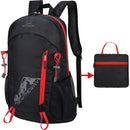 New 22L Backpack